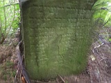 Shalanky-tombstone-renamed-46