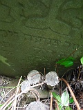 Shalanky-tombstone-renamed-55