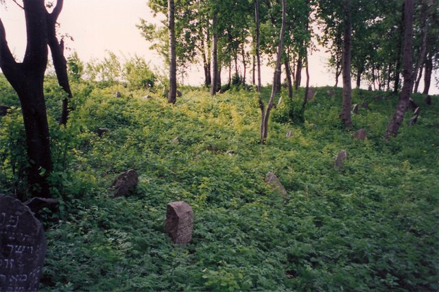 The Jewish Cemetery, 1996