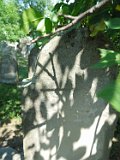 Solotvyno-Old-Cemetery-tombstone-011