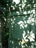 Solotvyno-Old-Cemetery-tombstone-553