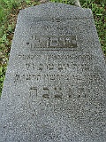 Svalyava-Cemetery-stone-386