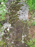 Trostyanets-tombstone-renamed-01