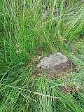Trostyanets-tombstone-renamed-15