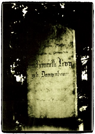 Henrietta_Dannenbaum_stone