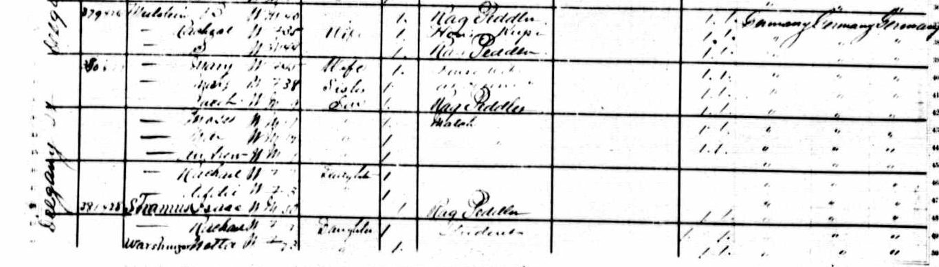 1885 census
