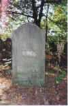 Kolbuszowa Cemetery10.jpg (188565 bytes)