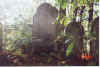 Kolbuszowa Cemetery14.jpg (172315 bytes)