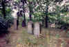 Kolbuszowa Cemetery20.jpg (130740 bytes)