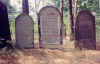Kolbuszowa Cemetery21.jpg (90739 bytes)
