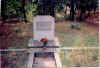 Kolbuszowa Cemetery22.jpg (172341 bytes)