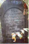 Kolbuszowa Cemetery4.jpg (167357 bytes)