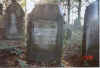 Kolbuszowa Cemetery5.jpg (126713 bytes)