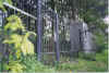 Kolbuszowa Cemetery Entrance.jpg (212047 bytes)