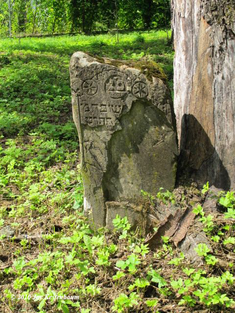 Gravestone in
                        Krzywcza Jewish Cemetery