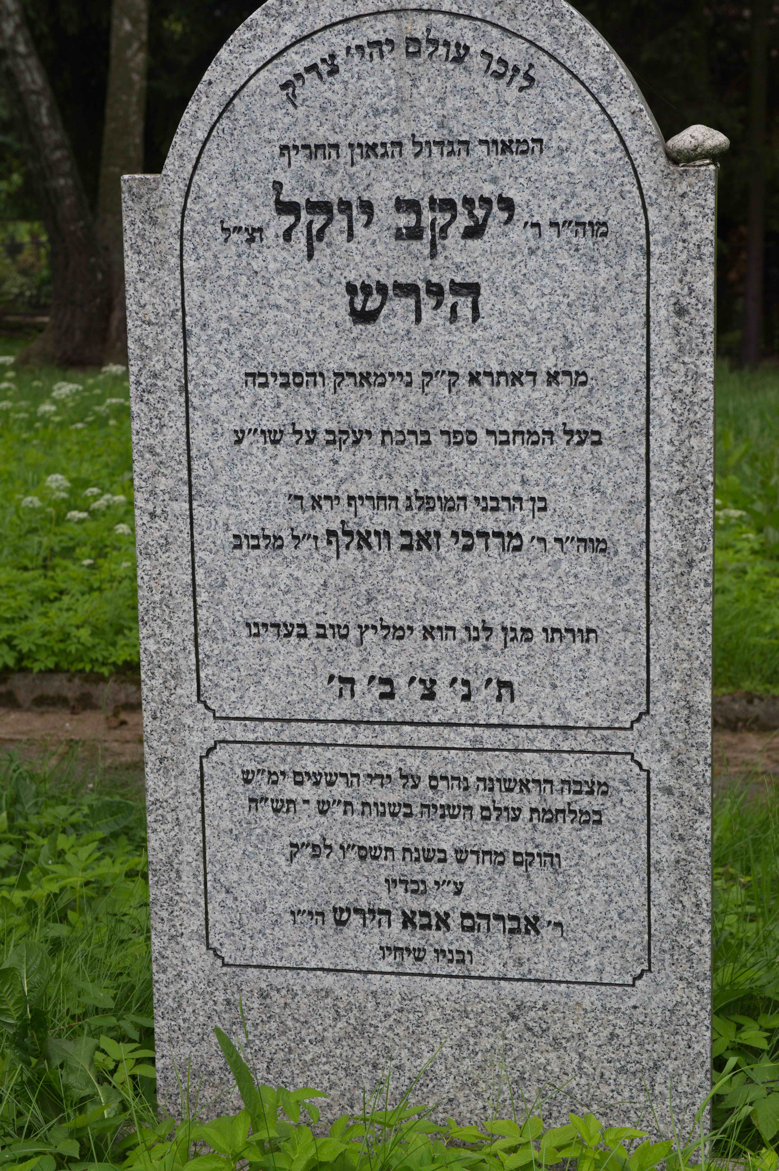 Rabbi Hirsch
