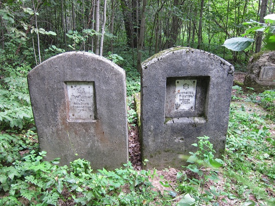 Graves Puchovich and
      Kalmikova