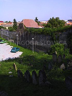 Old_cemetery6