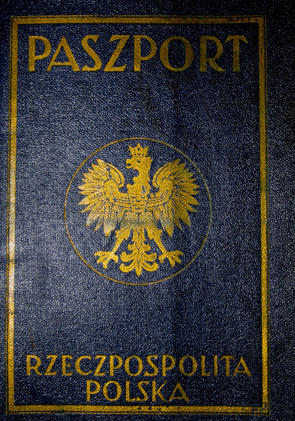 Passport
                            Cover