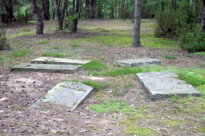 Szczercw Matzevot - some of the few remaining Jewish gravestones