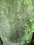 Vari-tombstone-142