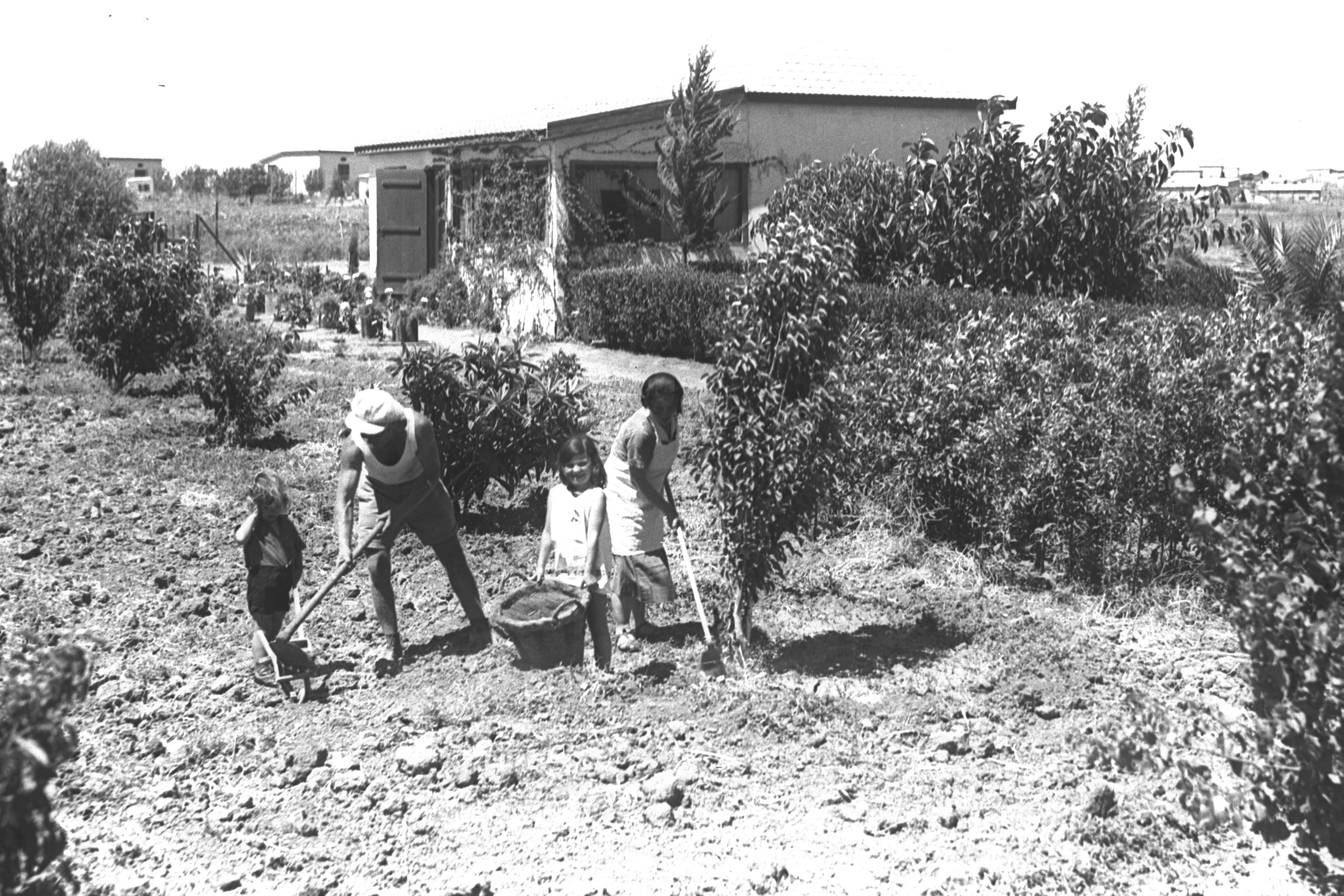 farmer & family working fruit orchard