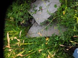 Berezovo-tombstone-260