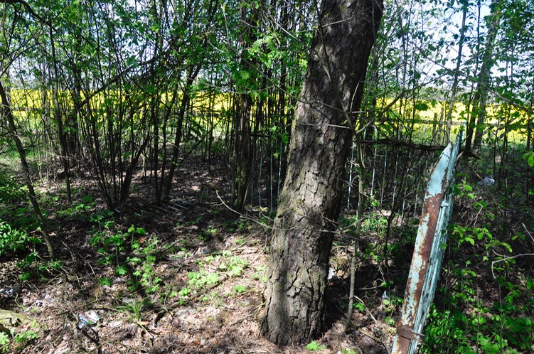 Cemetery, Pahost