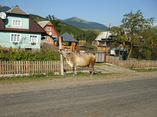 Kolachava Main Street