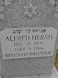 HERSH-Alfred