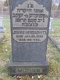 HERSKOVITZ-Jennie