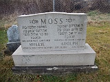 MOSS-Adoph-Molly