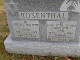 ROSENTHAL-Sam-Sara