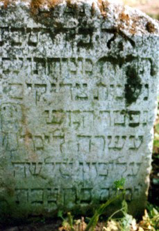 Dinovetz Jewish graves