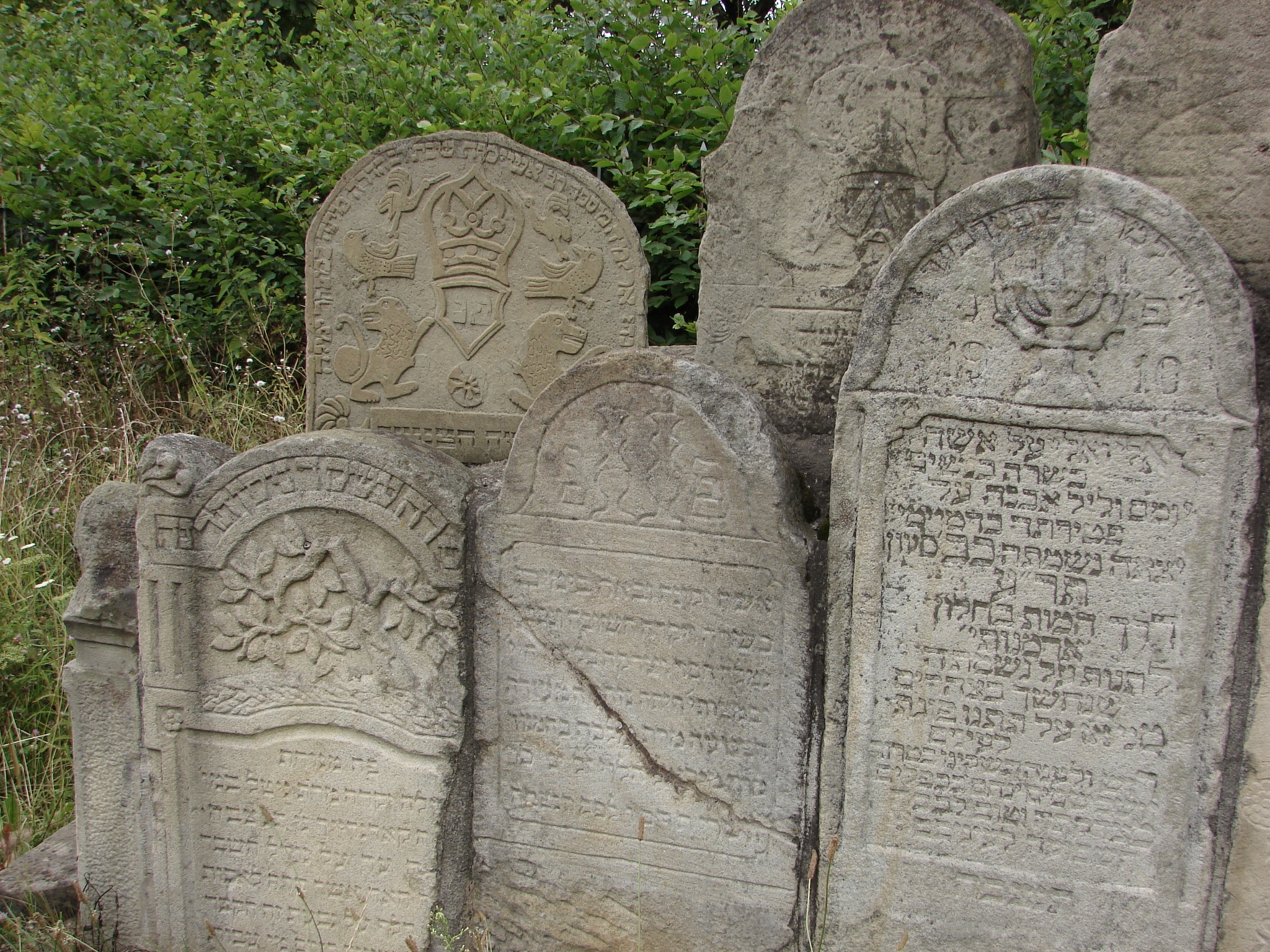 Close-up of Some of the Grouped Stones