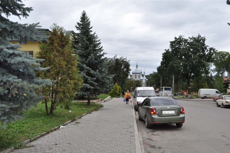 Horodenka Street View from North