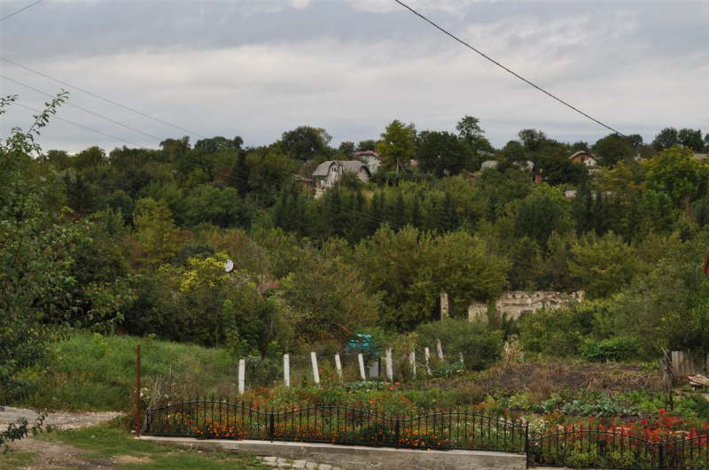 Horodenka Looking North from Road to Cemetery