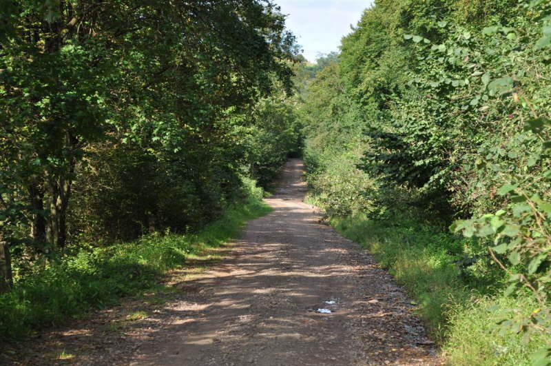 Road to Mass Grave of Horodenka Martyrs