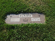 FLAMM-David