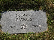 GESPASS-Norma-L