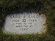 GOLD-Sadie-R