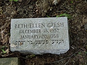 GZESH-Bethel-Ellen