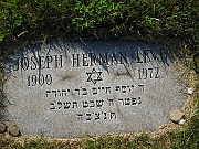 LEVIN-Joseph-Herman