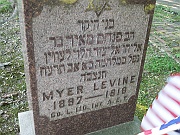 LEVINE-Myer