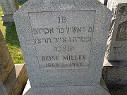 MILLER-Rose