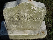 RADINOVITZ-Sadie
