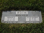 ROTH-Bernard-B-and-Esther-Bleiberg