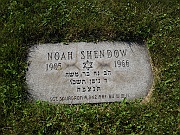 SHENDOW-Noah