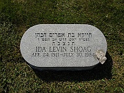SHOAG-Ida-Levin