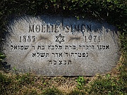 SIMON-Mollie